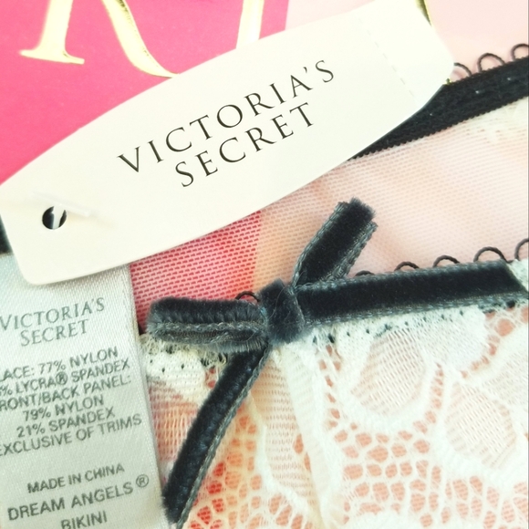 Victoria's Secret Vintage Dream Angels Lace Bikini Panty Low Rise NWT Sheer Mesh - Picture 10 of 14